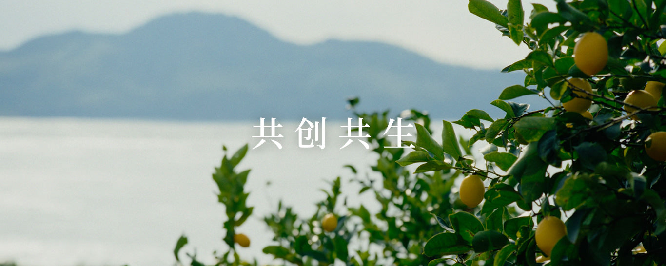 共创共生