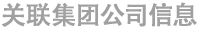 关联集团公司信息