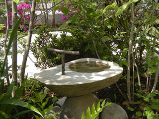 Bird bath installed in the garden