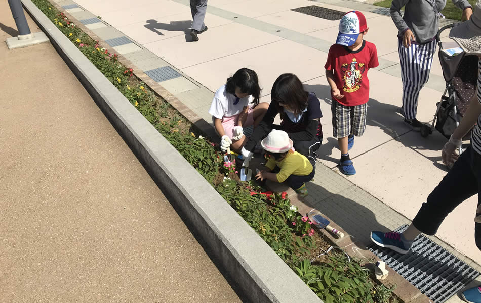 Replanting by residents in the common-use greenery areas