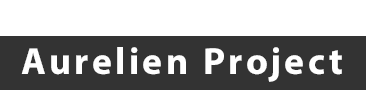 The United States Aurelien Project