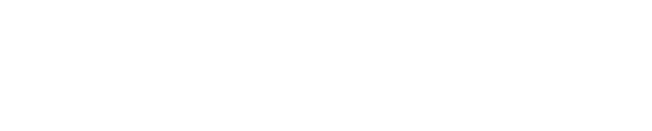 Assisting the economic growth of Vietnam through development of industrial parks, condominiums, serviced apartments, and the hotel business