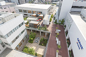Multi-level design that links multiple buildings