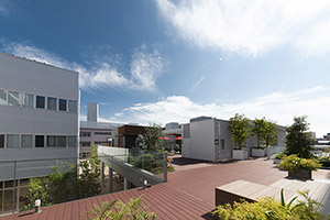 The second-floor deck that gives access to various facilities