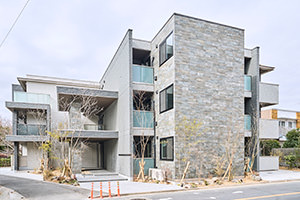 A broad wall forms a striking façade