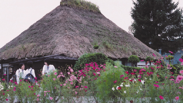 草屋根