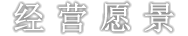 经营愿景