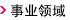 事业领域