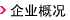 企业概况