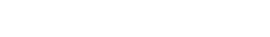 OUR OVERSEAS BUSINESS AREAS (as of March 31, 2024)
