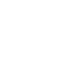 74companies 2010