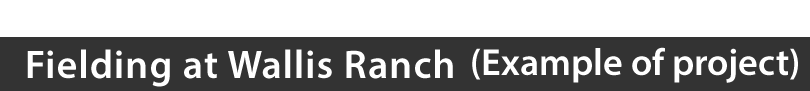 Fielding at Wallis Ranch(Example of project)