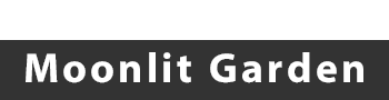 China Moonlit Garden