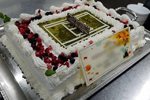 A tennis court-themed cake