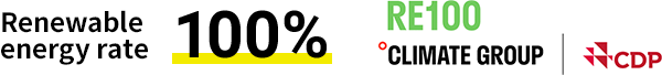 Renewable energy rate 100%