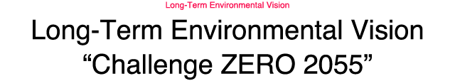 Long-Term Environmental Vision