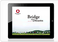 2013 Annual Report iPadAv